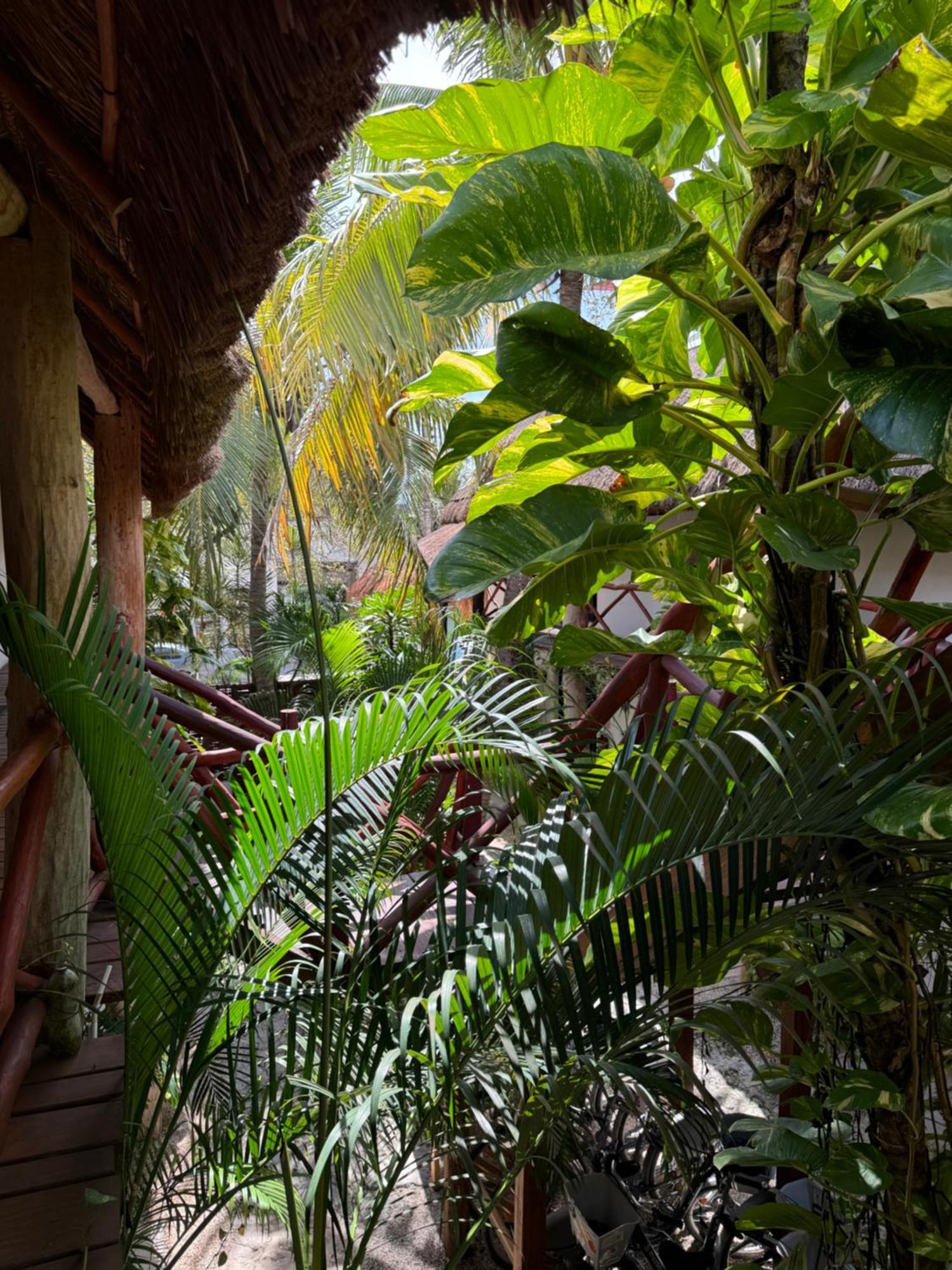 Kin Ha Tulum Hotel ภายนอก รูปภาพ